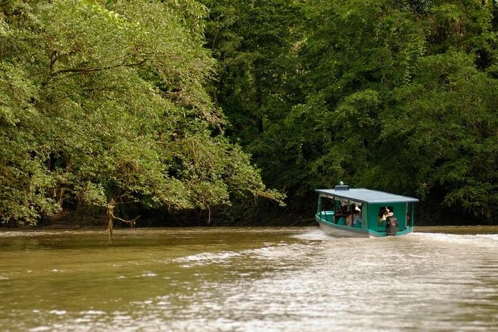 Safari Boat on Sarapiqui River with Lunch from San Jose - Photo 1 of 8